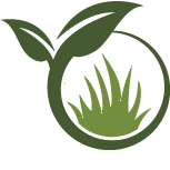 Key Fig Tree Planting