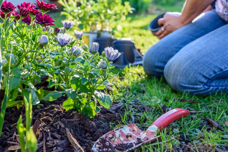 Perennials Planting in Honolulu, HI