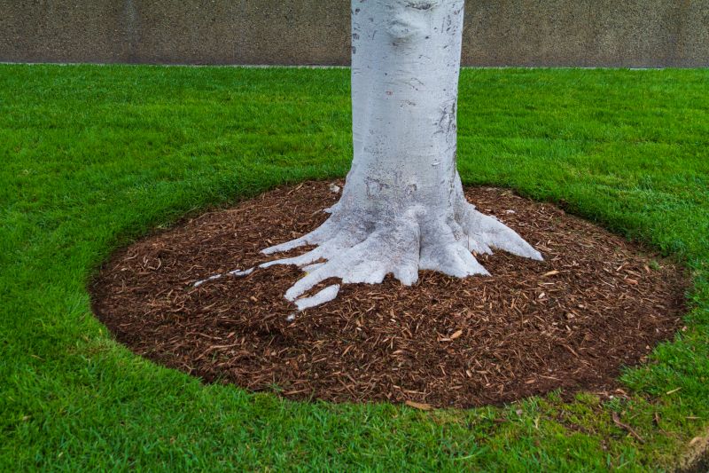 Black Mulch Installation in Ventura County, CA