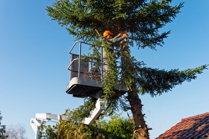 Tree Installation Service