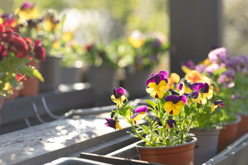 Flower Planting Service in Honolulu, HI
