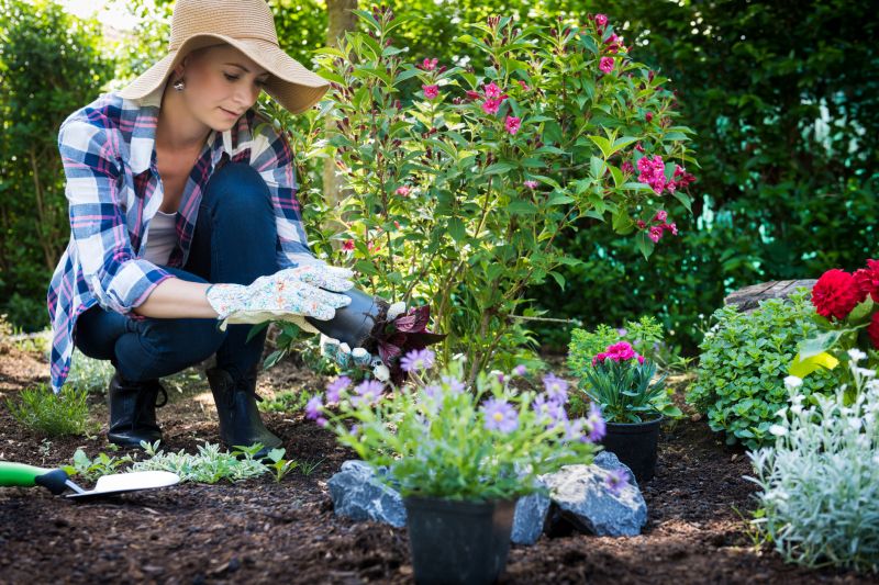 Garden Planting Service in Honolulu, HI