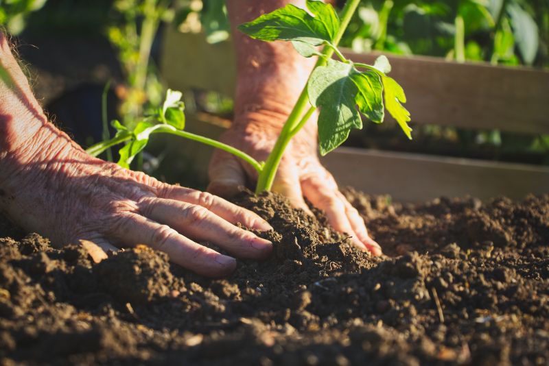 Landscape Planting Service in Ventura County, CA