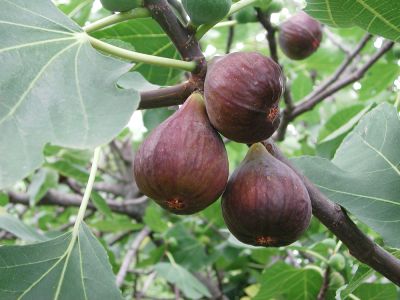 Aesthetically Pleasing!